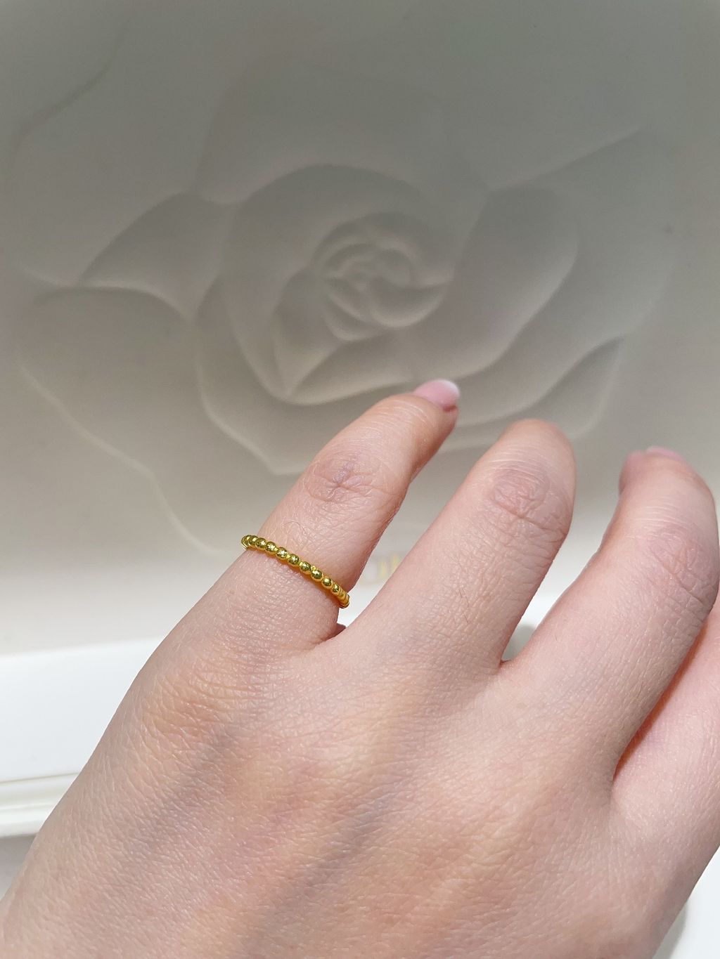 image_9BE23035-9D5E-4C97-9B0B-FEBC38B3EE07_1767074469