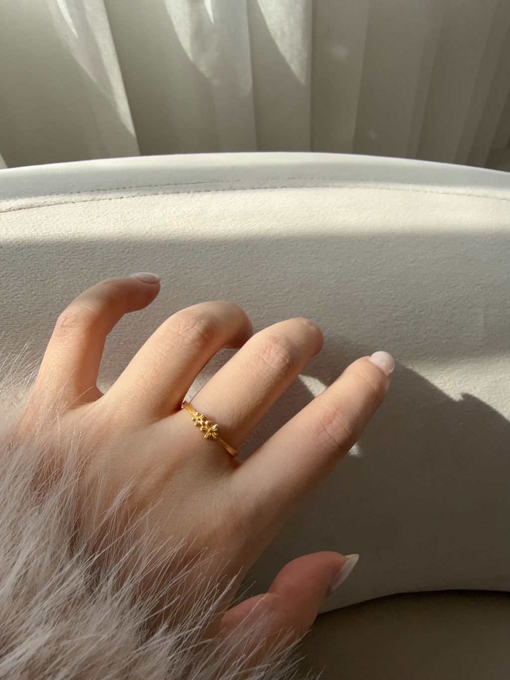 image_7DB722C4-8DAF-4CA7-BFF1-C4628D402D5C_1768312975