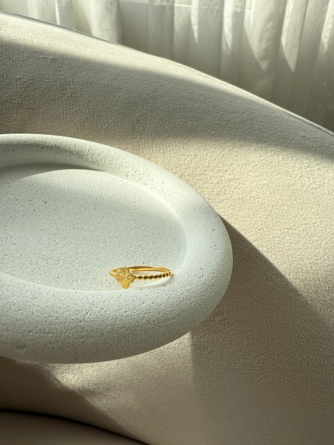 image_FE4A398A-23DE-4F3F-9584-9AF3800DC13D_1768467957