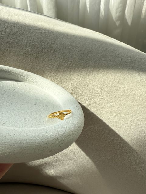 image_8164F508-144B-47D0-8F62-BDAAC0405030_1768467957