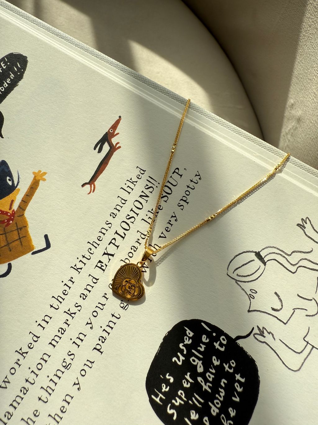 image_E6C91A12-D923-4C64-81FB-1060A41774BC_1768472329