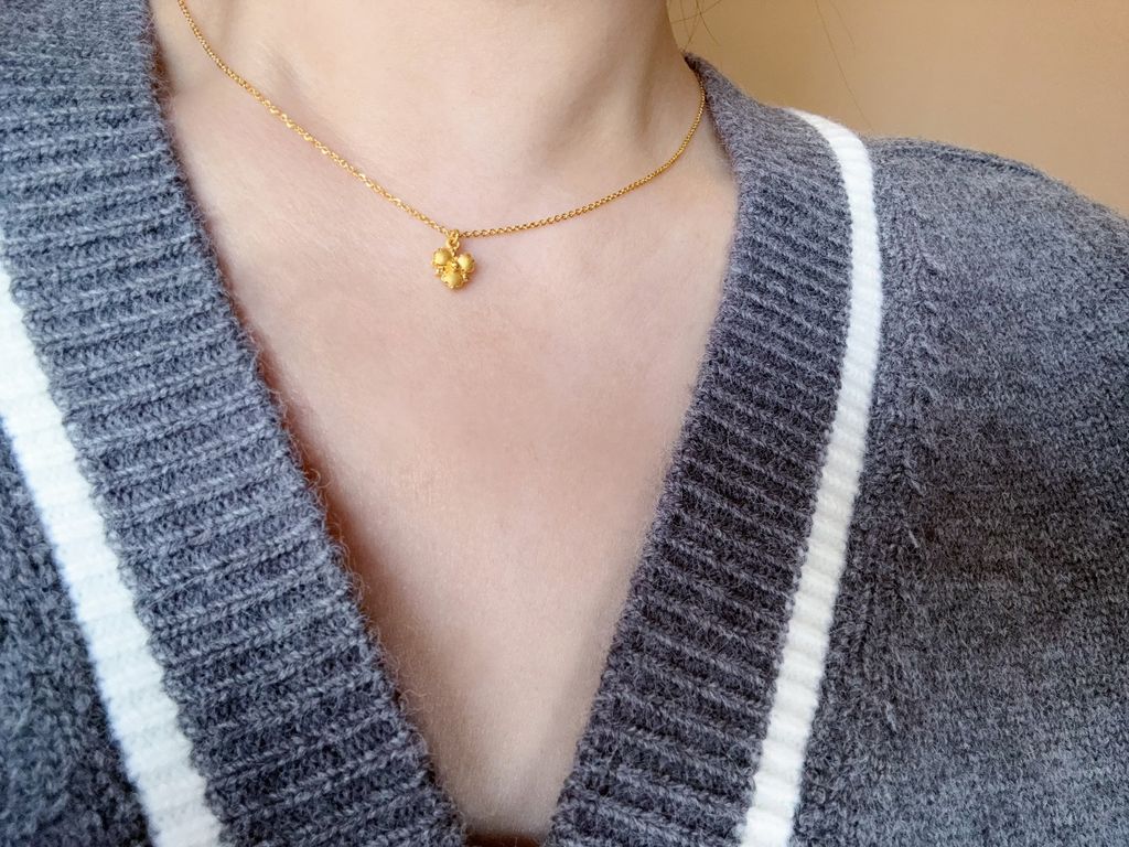 image_81994FB6-5FEE-4C73-B580-79D42D32A02E_1768475744