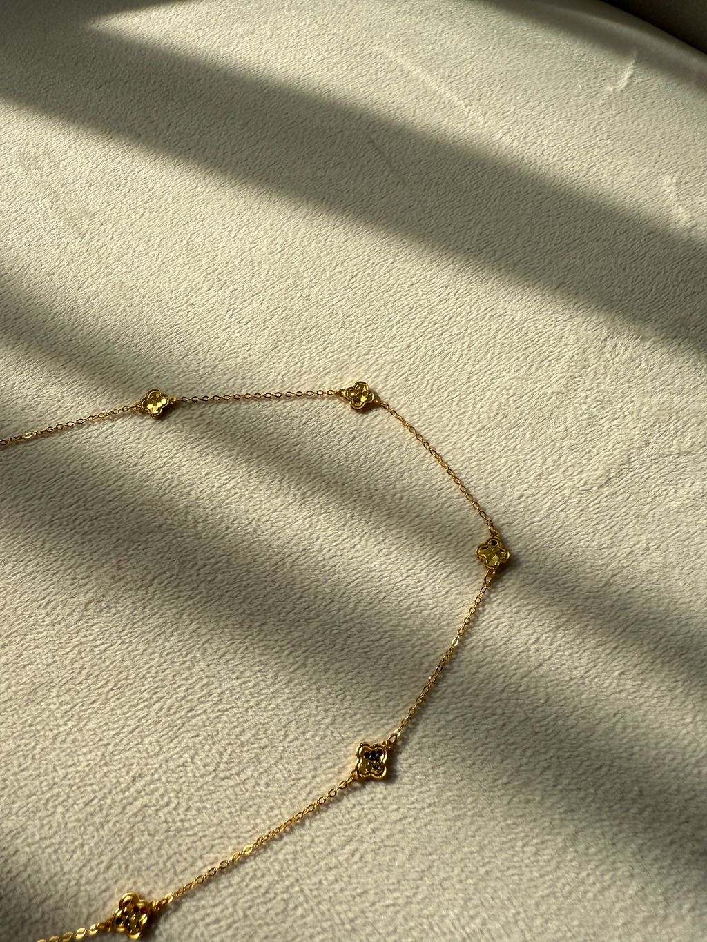 image_51C7CA87-B6F9-4008-B73D-66C574BB640E_1768475866