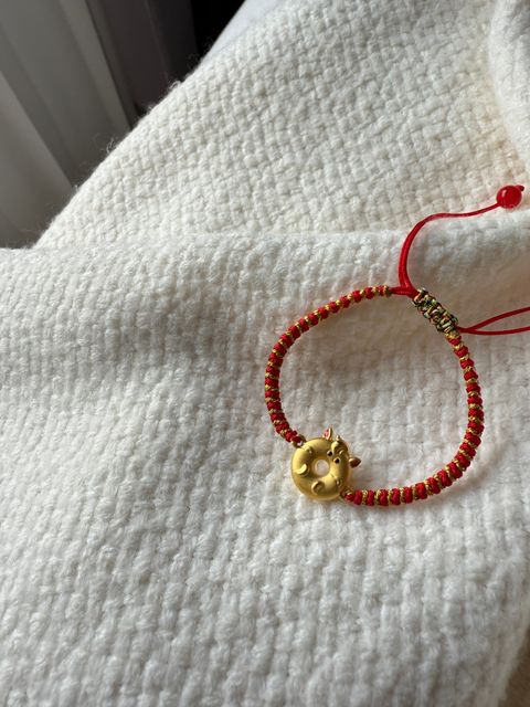 image_60AEA233-FA2B-4930-9850-D2BBFC46571E_1769481937