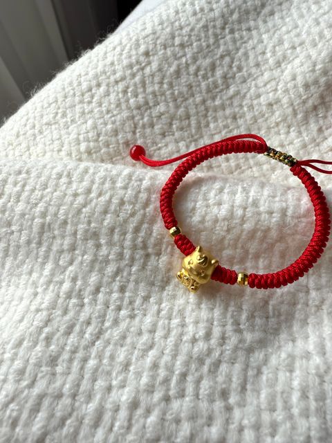 image_F1C508BB-00A2-45FA-8816-83F4CD453016_1769486584