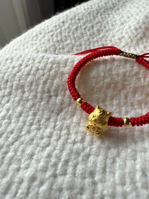 image_C7558C21-5838-4151-BAB5-68BA18ED607F_1769486584