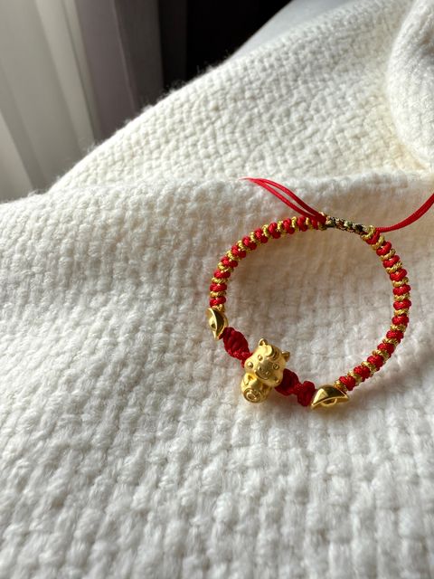 image_DEBF3623-E271-466B-8E02-A46D718F9D61_1769486632