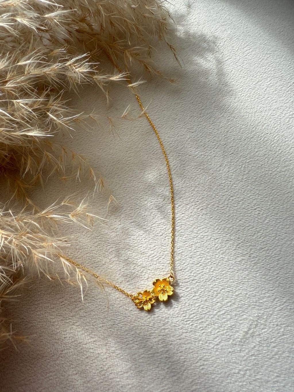 image_C28AA9F9-F57E-4C6A-8AC4-78630D1F309E_1770269083