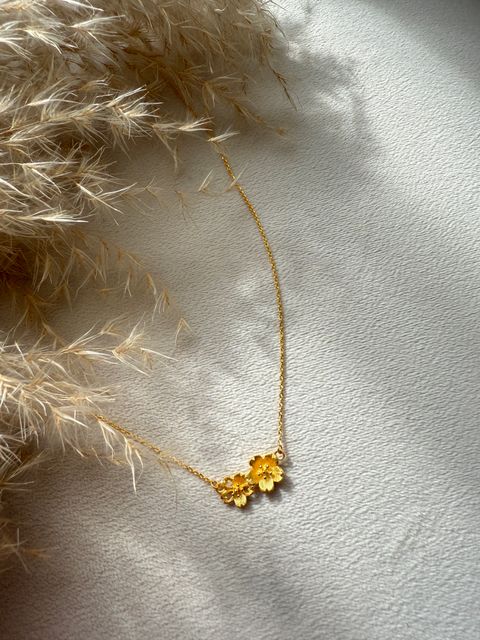 image_C28AA9F9-F57E-4C6A-8AC4-78630D1F309E_1770269083