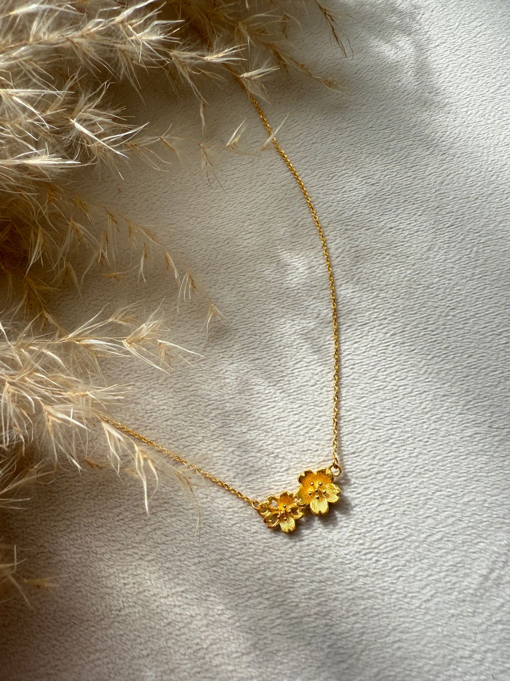 image_832ED2A0-B2E0-4561-86B6-526BEEECCB9A_1770269083