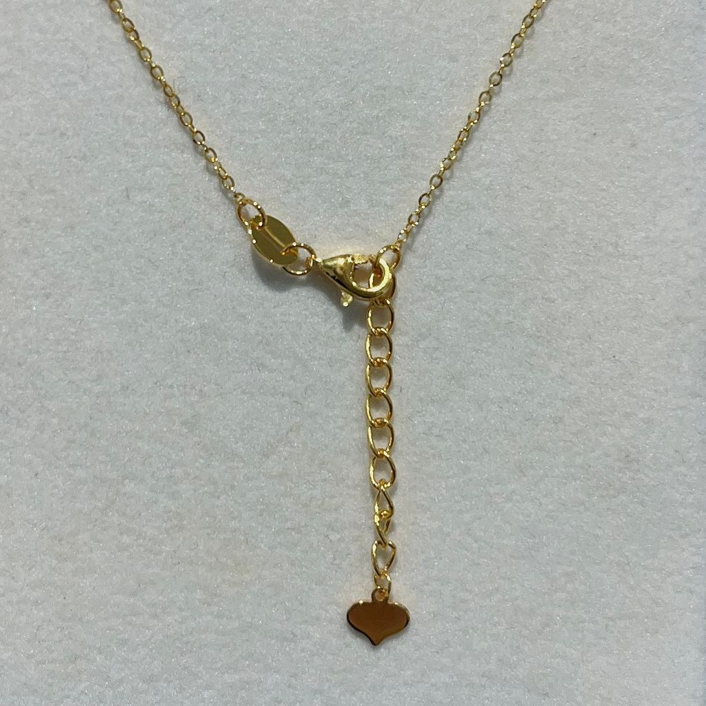 image_294DCD8D-4961-4EE7-9AE5-B07732B54349_1772257703