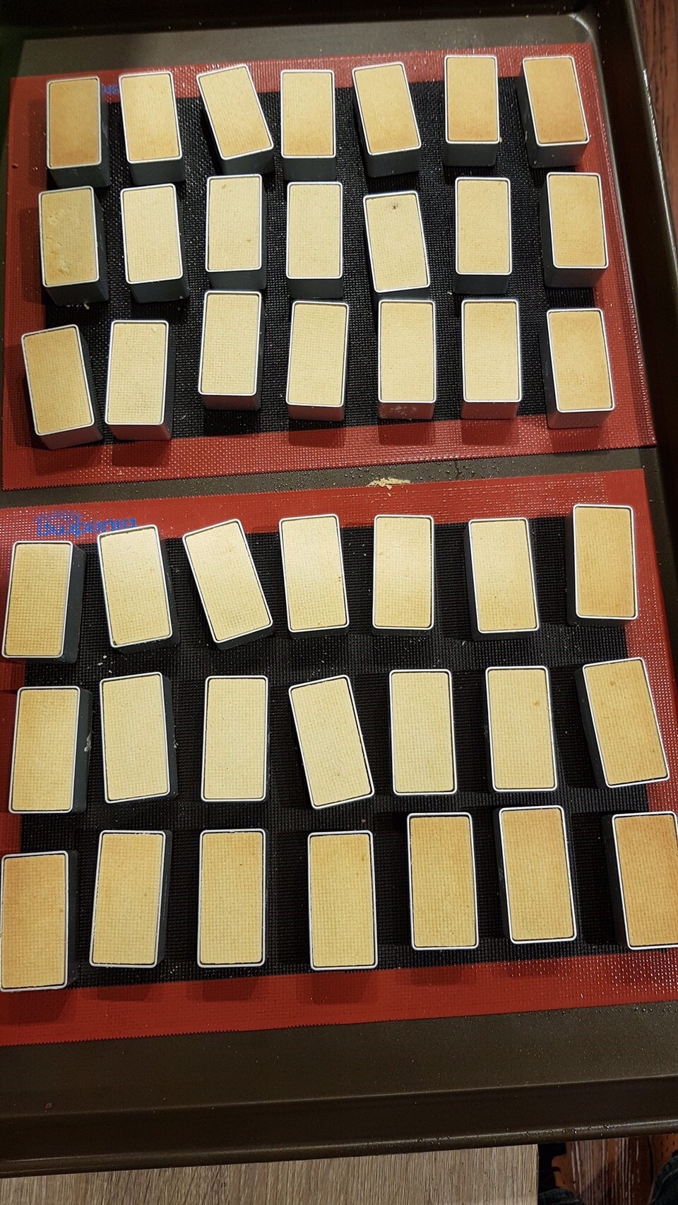 New photo 20190818_191011_0093