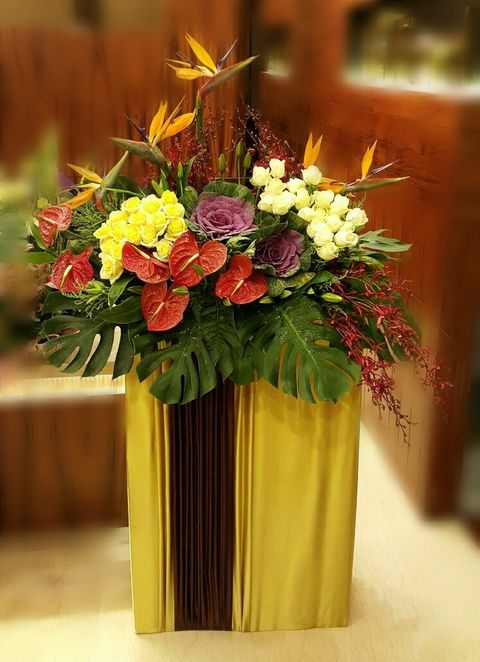 Muse Floral Opening Flower 01.jpg