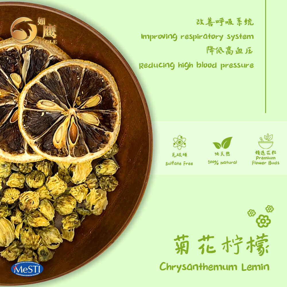 Chrysanthemum Lemon