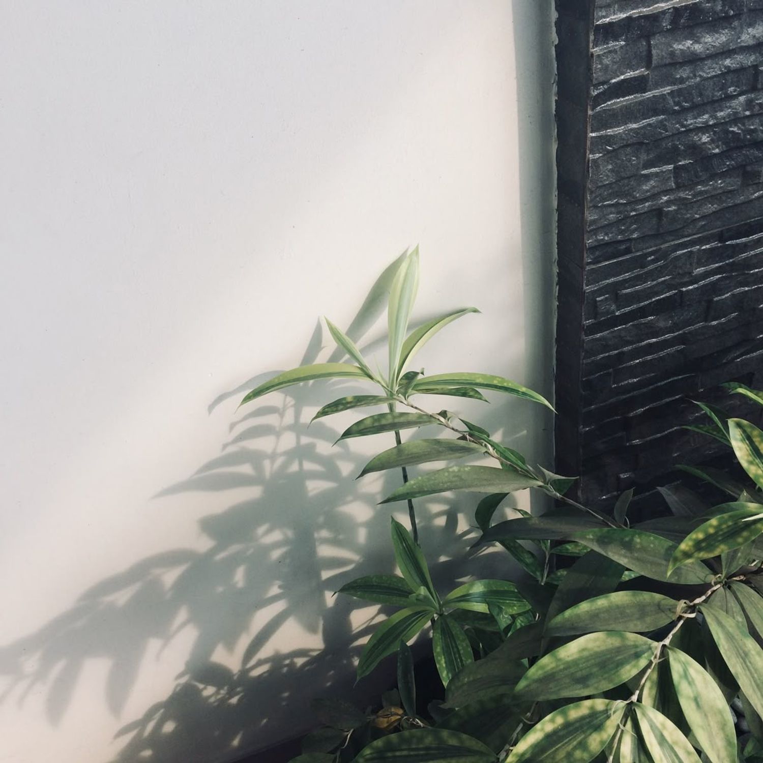 5YUAN SELECT | Sign Up for 10% OFF