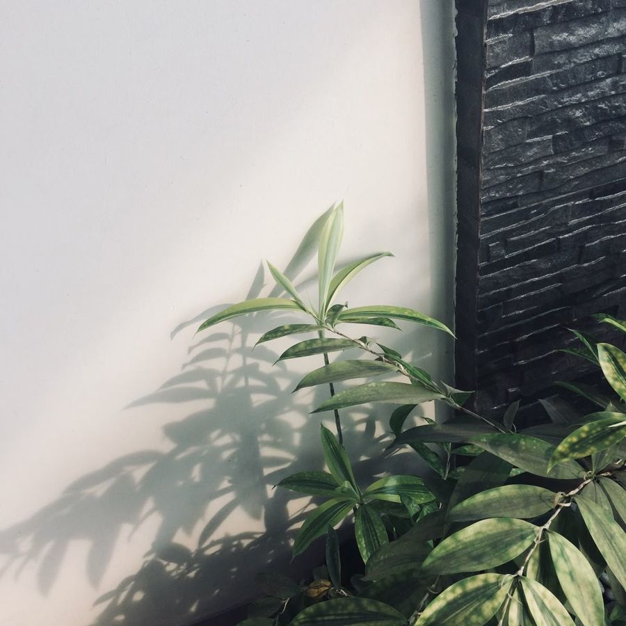 5YUAN SELECT | Sign Up for 10% OFF