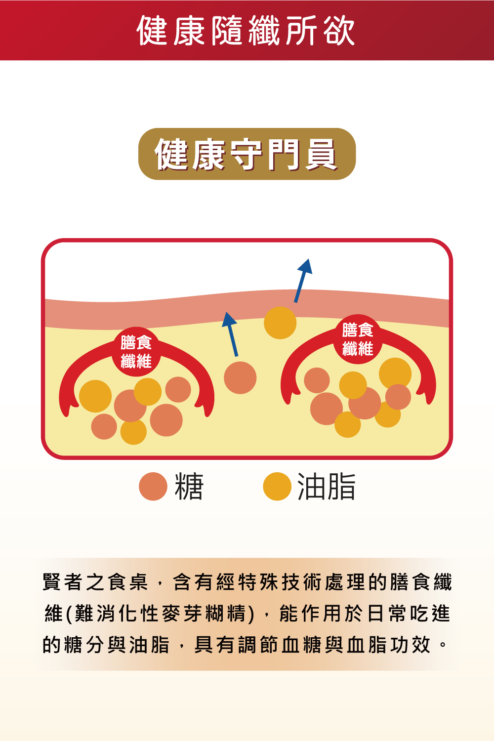 賢者之食桌 纖維粉末包6
