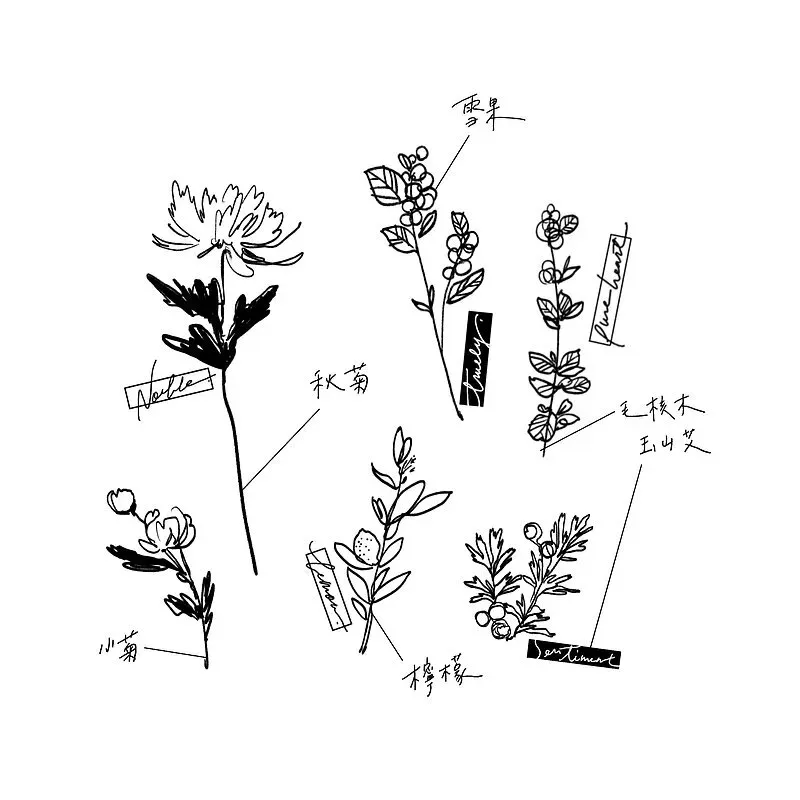 誕生花 Birthday Flowers 羊君 印章 手帳 拼貼 8