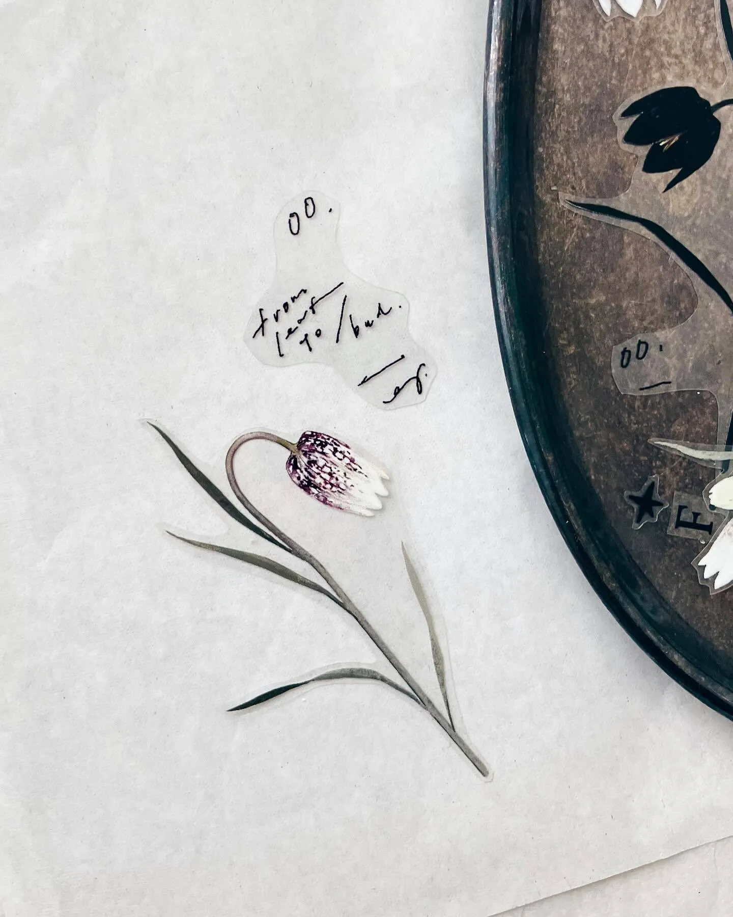 羊君 pet 亮面 膠帶 印刷 手帳 拼貼 花 植物 2