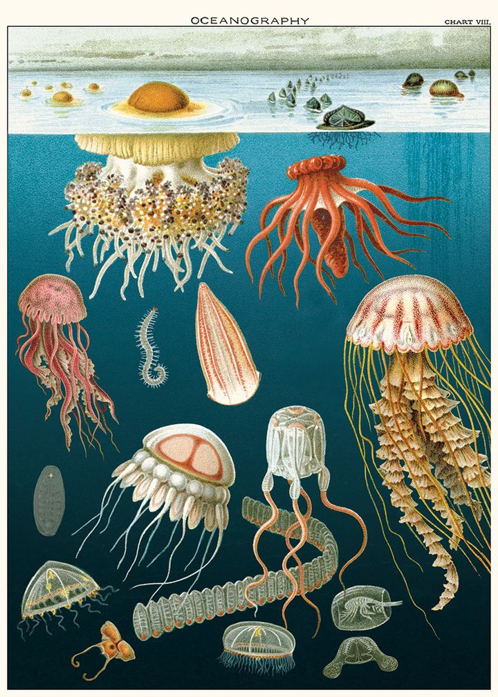 17186379