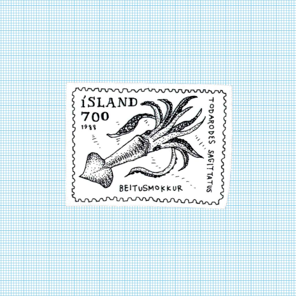 Marine_018_1691038