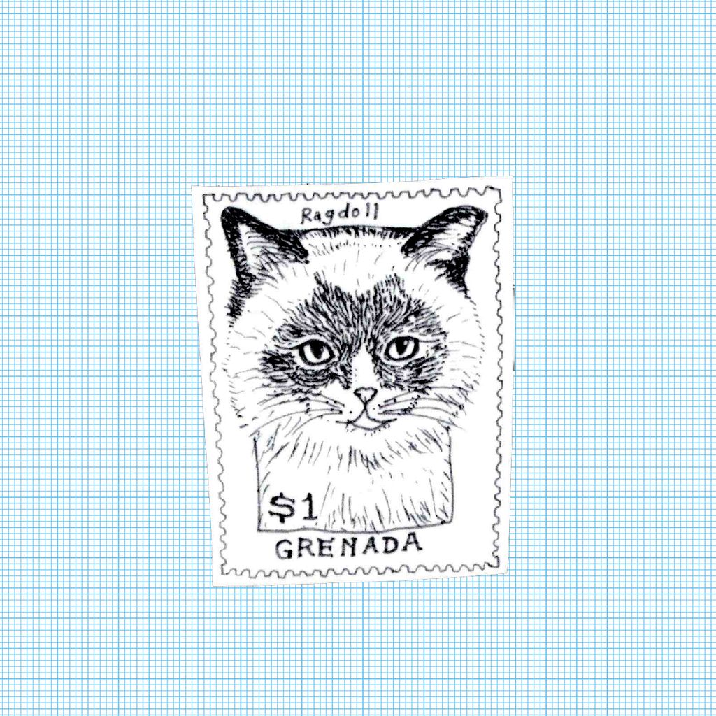 Animal_001_1691001