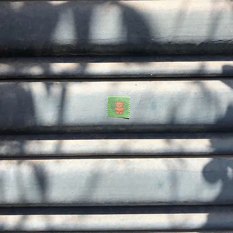 79741140