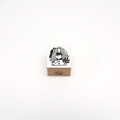 800x
