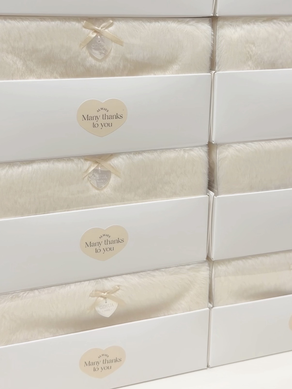 相片 2026.03.05 18 08 27