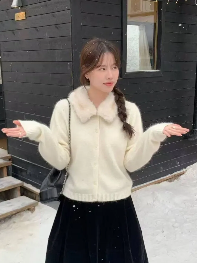 相片 2025.11.19 23 33 27 (6) - 複製