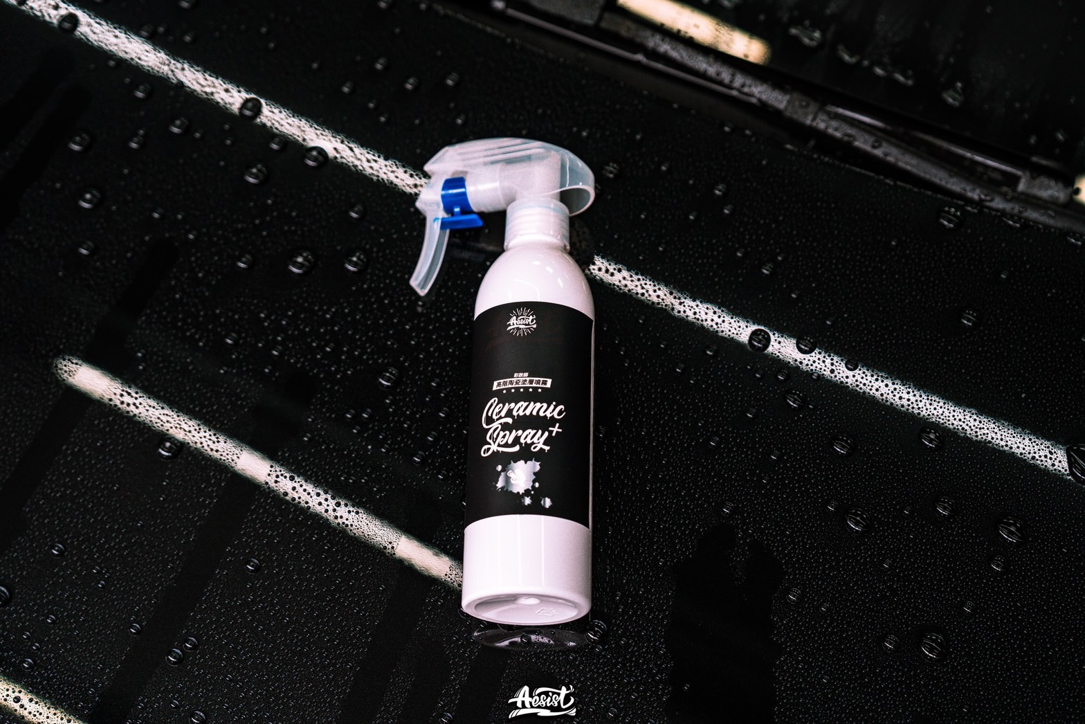  | Aesist Car