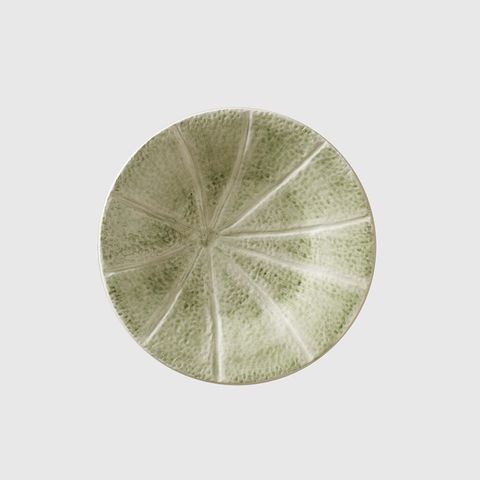 Melon_1