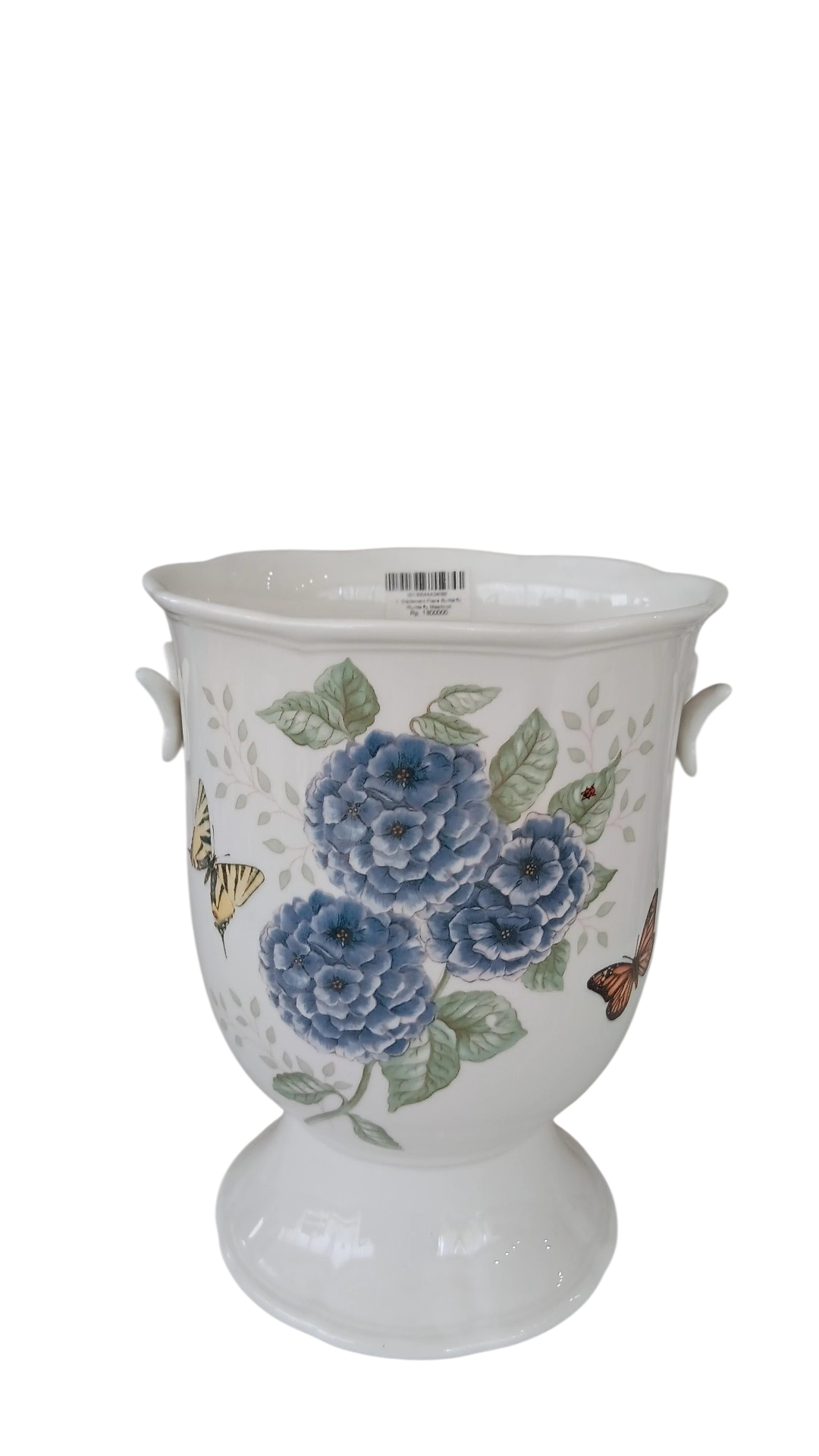 IMG_20260220_135007_996