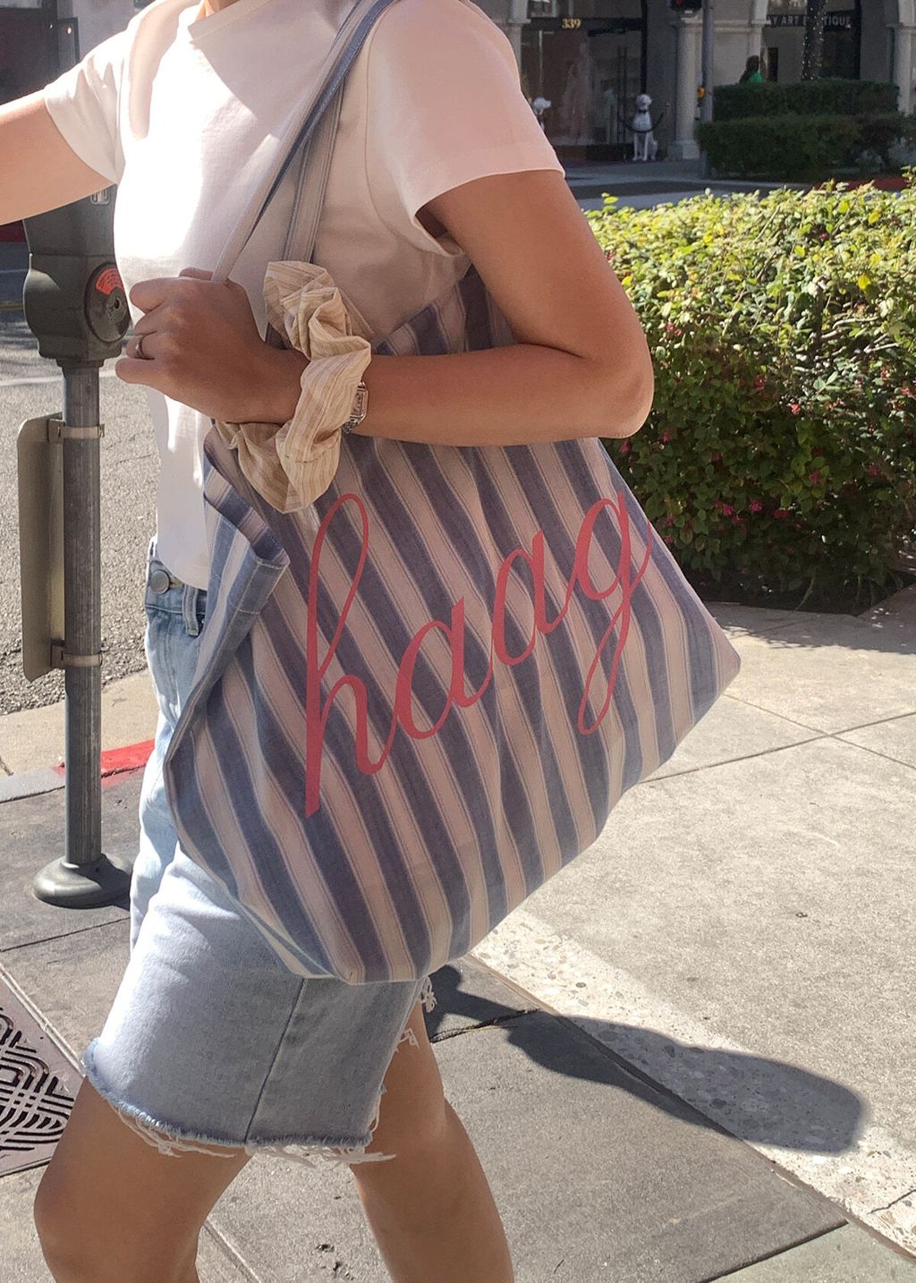 IMG_7281-1720189873862