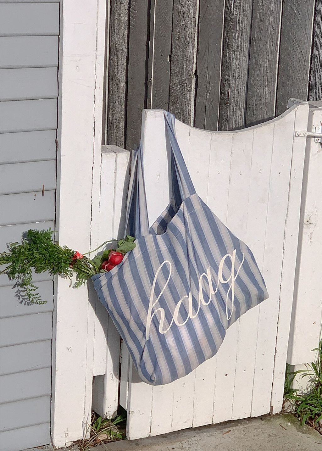 IMG_7275-1720189873924