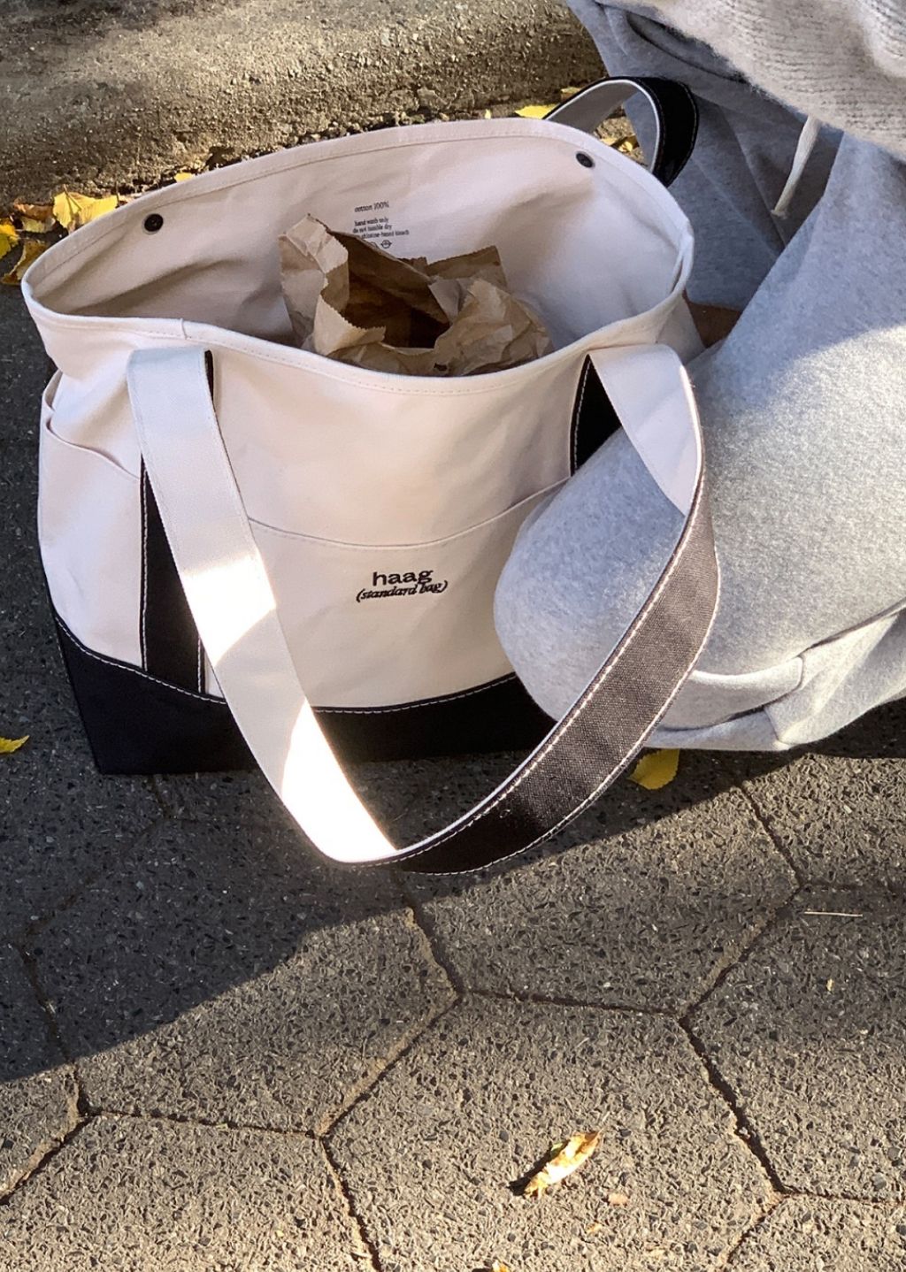 IMG_4379-1728560253701