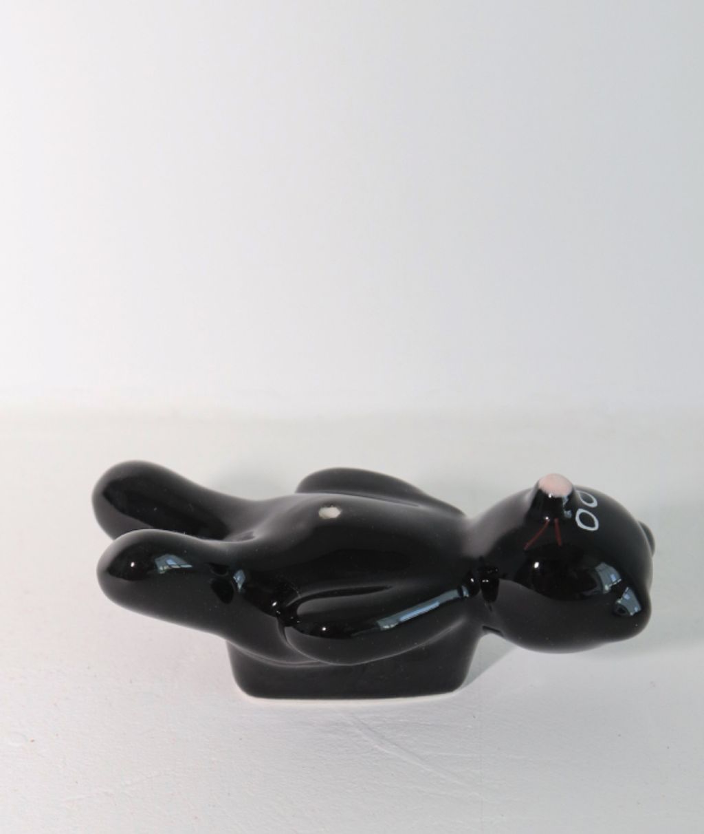 IMG_3971-1739101391937