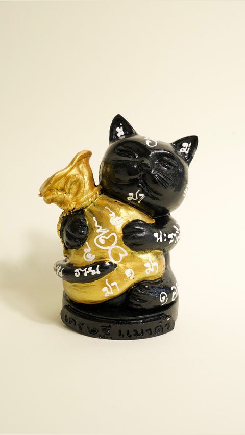 image_CF673C89-2E8E-47AB-82D3-C488858C8DD7_1773310050