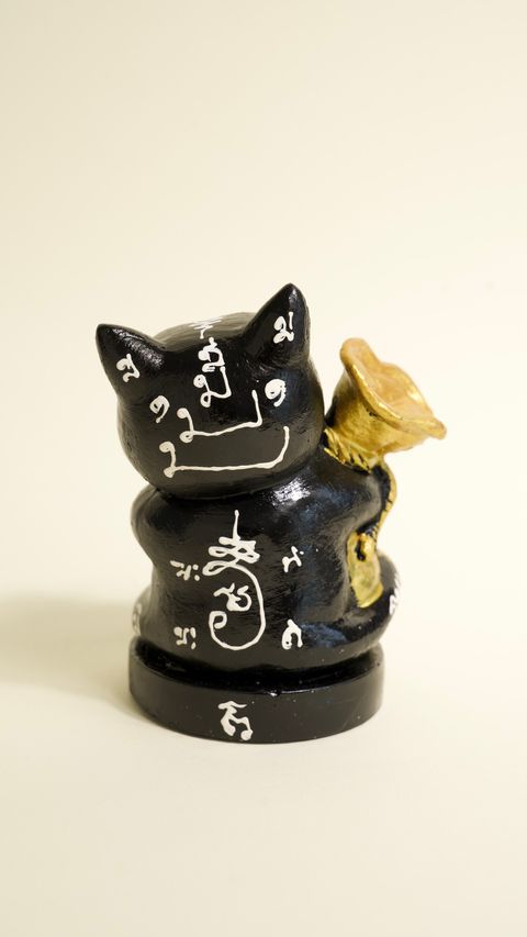 image_0CDD6E60-F224-4612-9FBA-8C15439E8078_1773310050