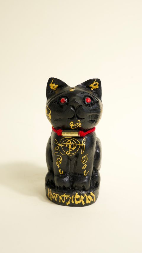 image_4DF30418-1D51-4C7E-ABA0-A05D2435F8A4_1773310093