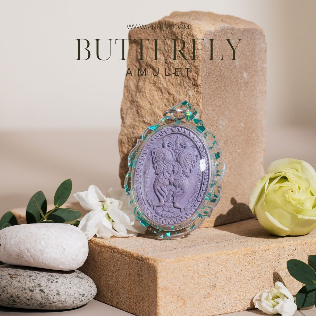 butterfly.zip - 6-1736699026459