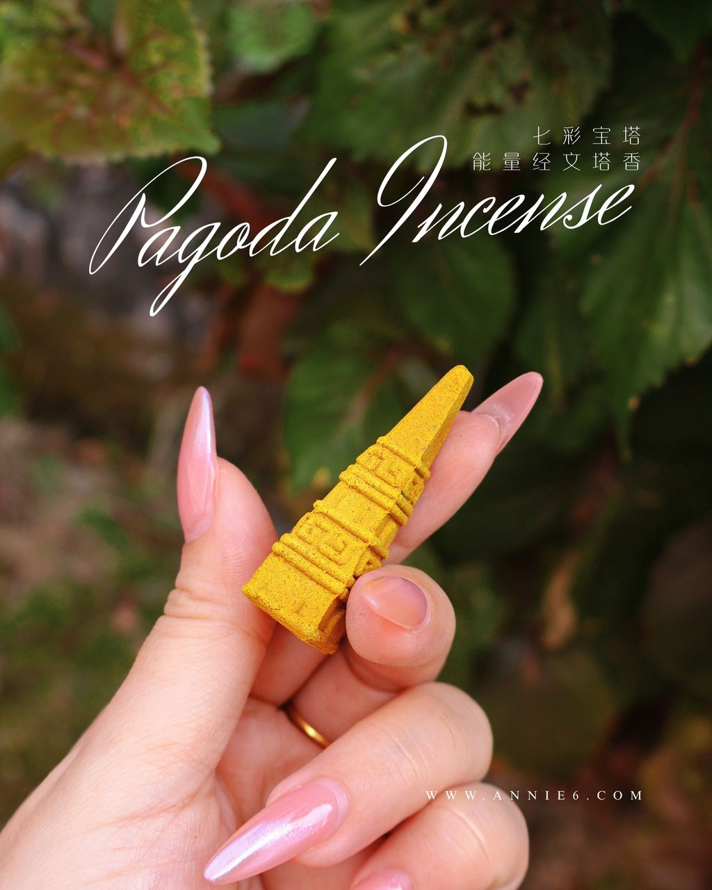 image_1660911F-ED15-4074-A763-EA64E42338D5_1756700825