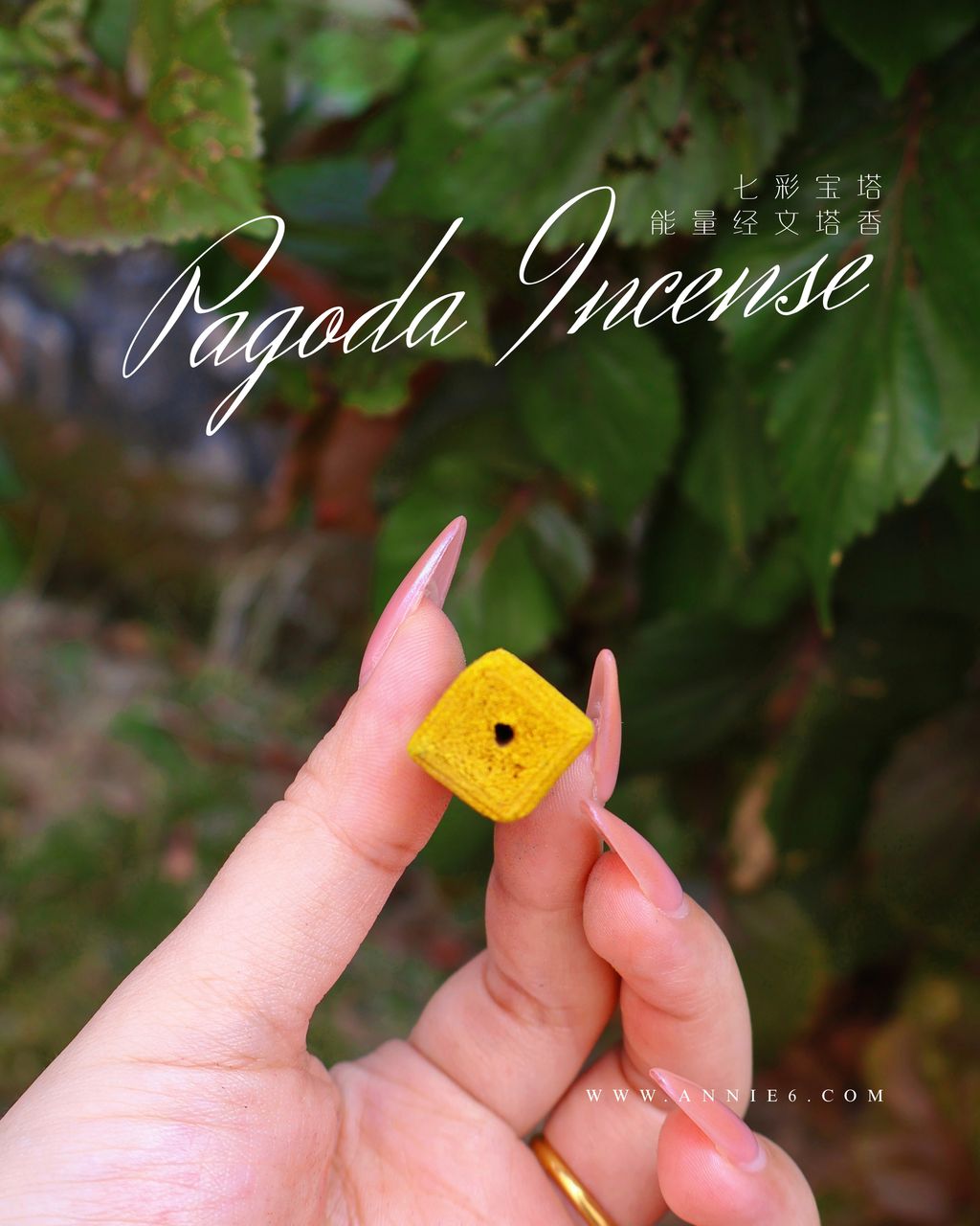 image_D5E742B7-5C66-4CC0-B1DB-DCEF12F14A93_1756700825