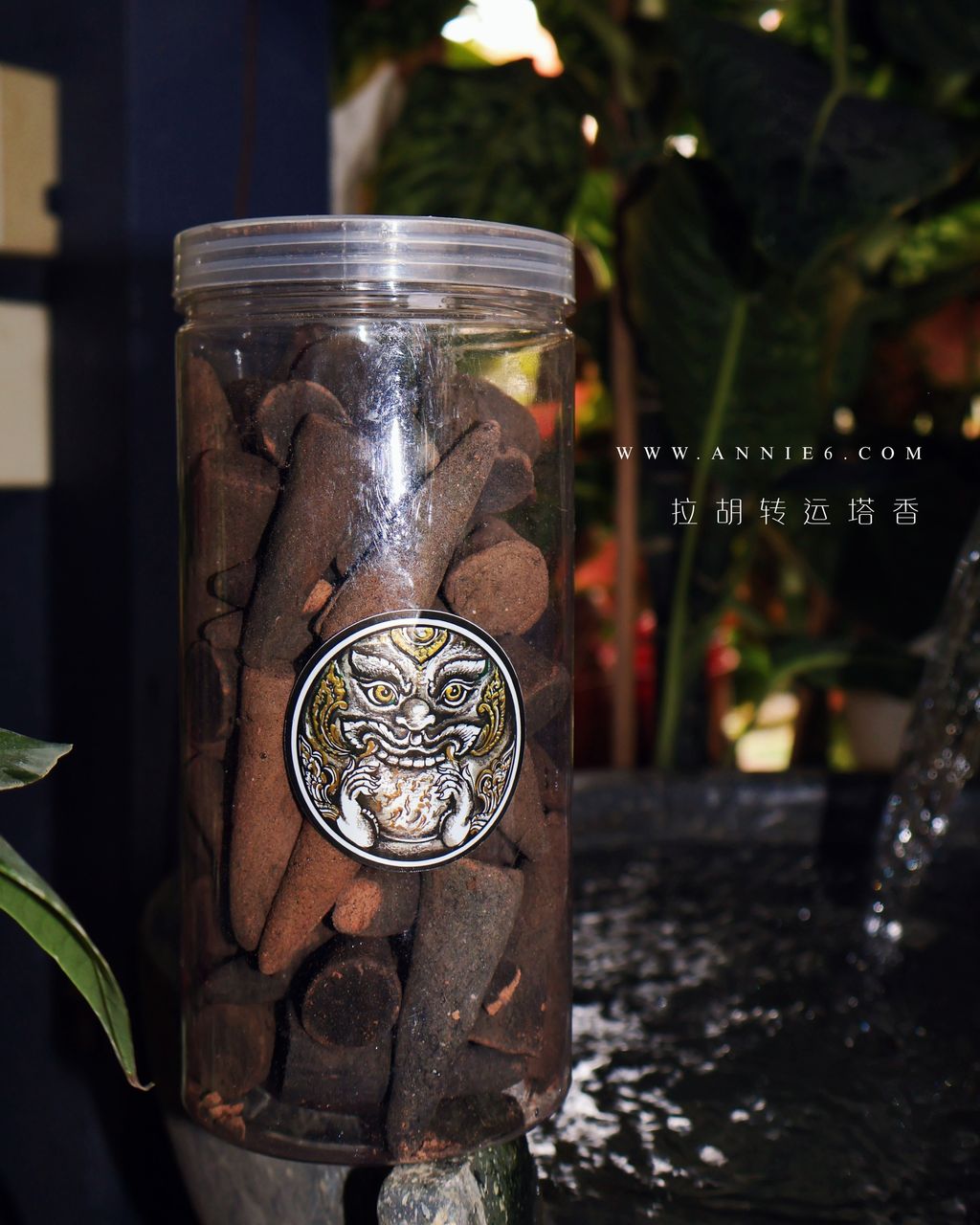 image_AA7BA28A-A42A-4384-97AD-3137C6C10F0D_1757572613