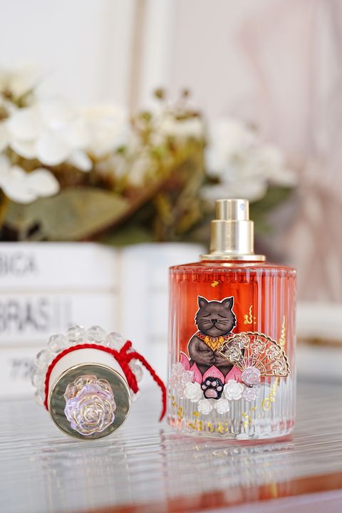 image_018F2A63-1C84-49CB-8E39-C9BBA88C8E31_1765259624