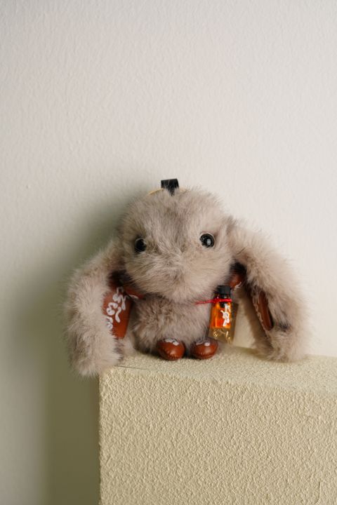 image_EEA0BBEA-32EF-40C1-9697-664ED54E6DAF_1766507086