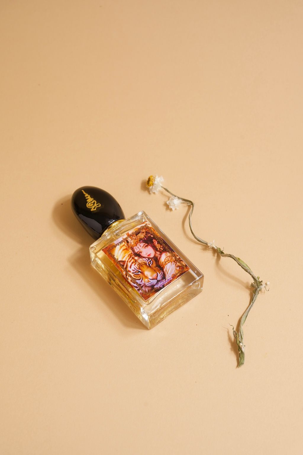 image_758B6624-A88C-4840-8711-F456581A3846_1772040429