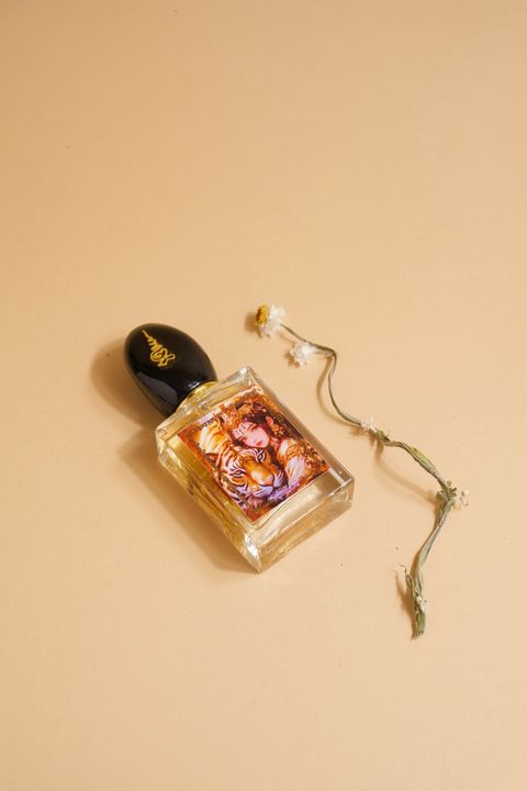 image_758B6624-A88C-4840-8711-F456581A3846_1772040429