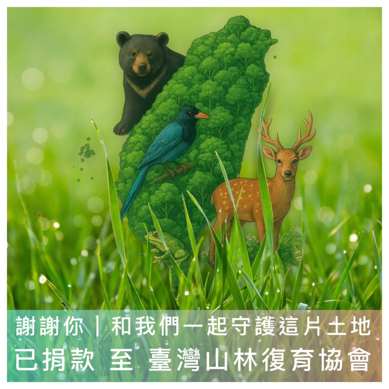 一張含有 草, 文字, 植物, 戶外 的圖片AI 產生的內容可能不正確。