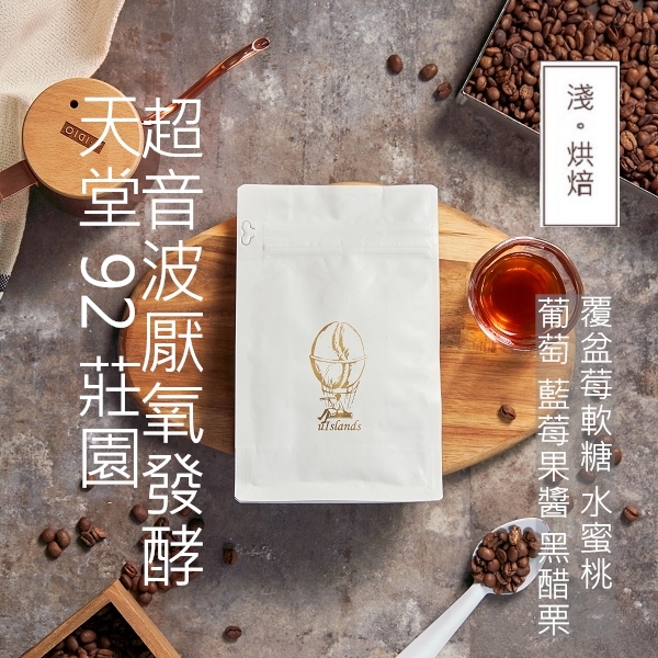 超音波厭氧發酵